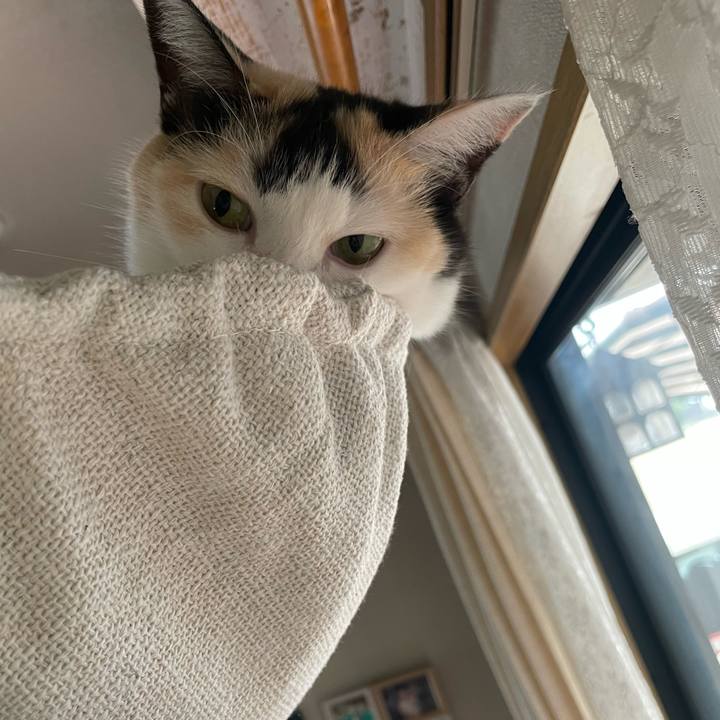 8a69791c 5717 4800 904c 638e9a729ffb 1723503909174