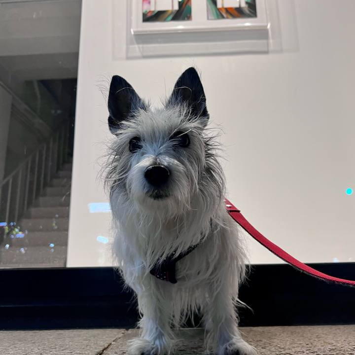 8a699cc4 d153 4ec7 843b 97dfc464dfa7 1678492358224