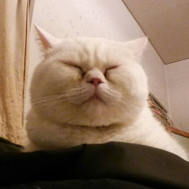 8a69a794 304e 4ba7 9d6c 2c156dee4f00 1577606547172