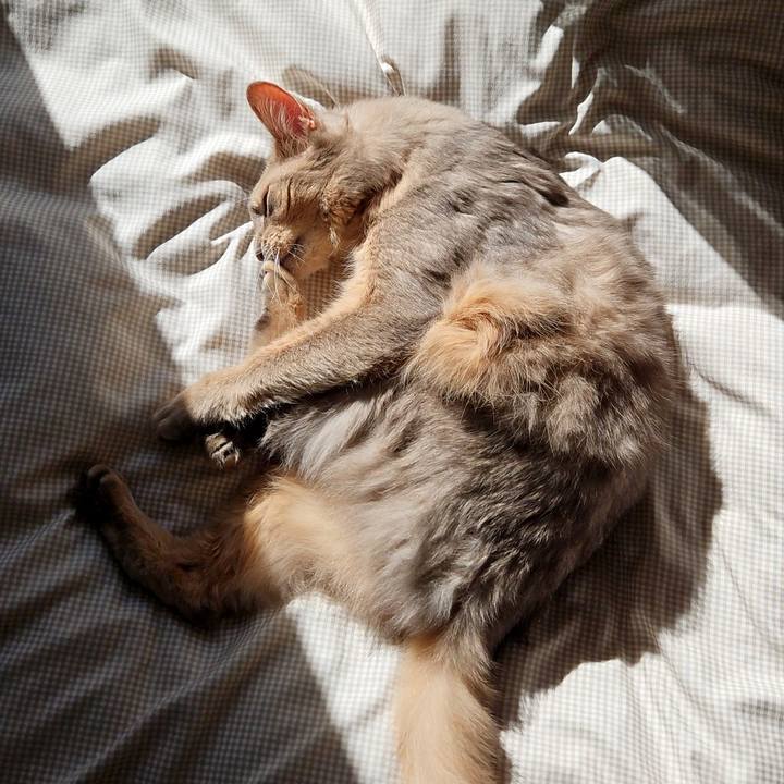 8a69ad66 567b 4eff ab90 4b3400748696 1700366597081