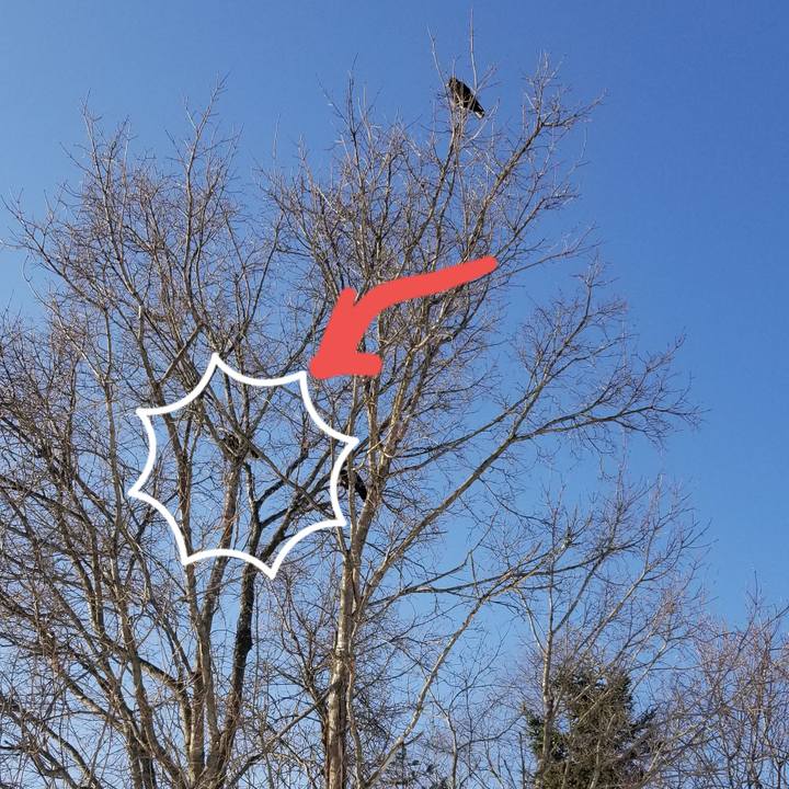 8a69e598 7201 4990 9624 4b0264629836 1615423704230