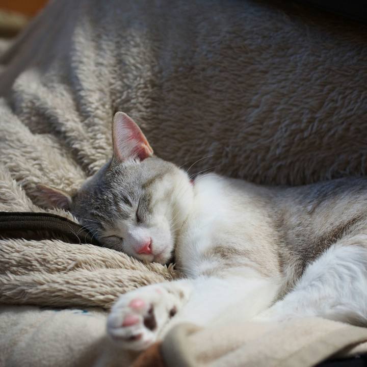 8a69e99f 396b 4815 b7c2 681413ae0bdc 1522548209257