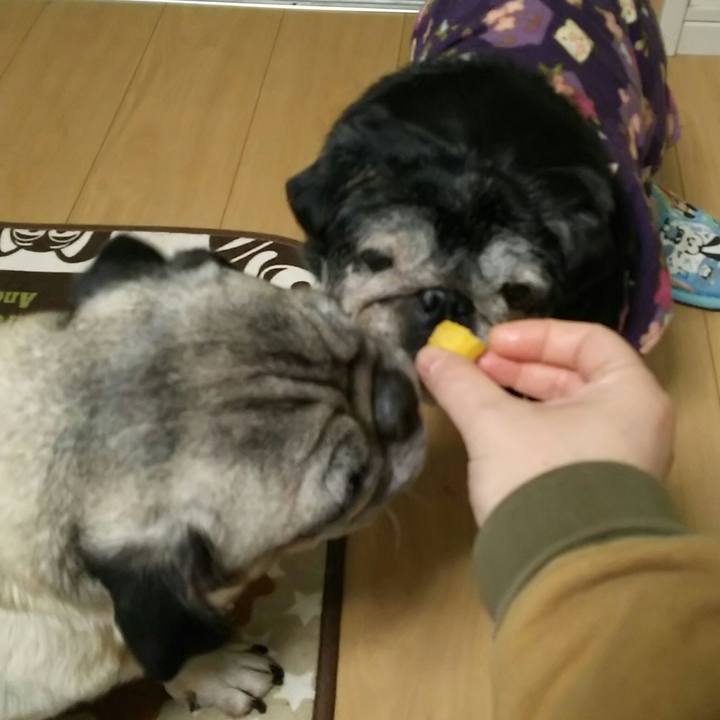 8a69f0a5 61b4 45ae 9221 7569caa71a36 1546765679398