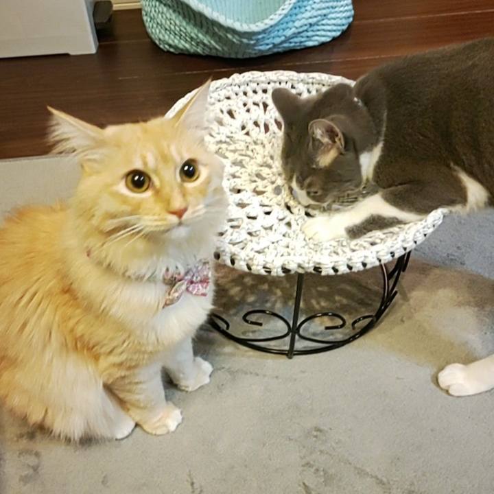 8a6a3880 c131 4117 91c6 30c5cddb1605 1665408785550