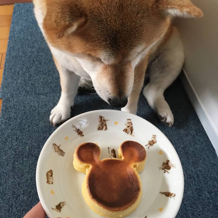 8a6a481d 5b3f 4592 a058 591b1edce553 1620104115445