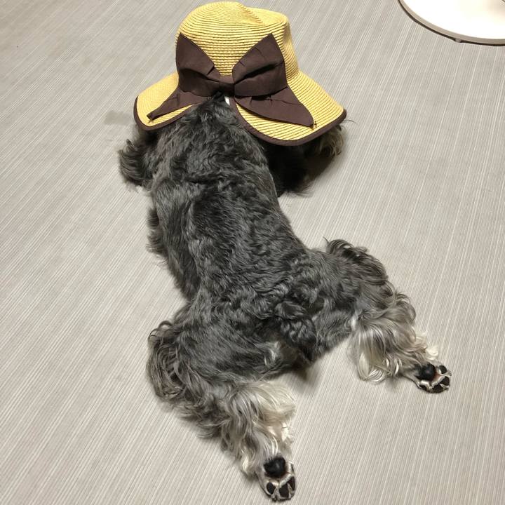 8a6a55cd aab9 48d6 b06f ebb4400fa134 1566098942646