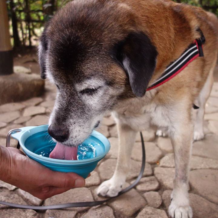 8a6a89a3 2cd0 4f3d 9af3 199e16692eb7 1565568874142