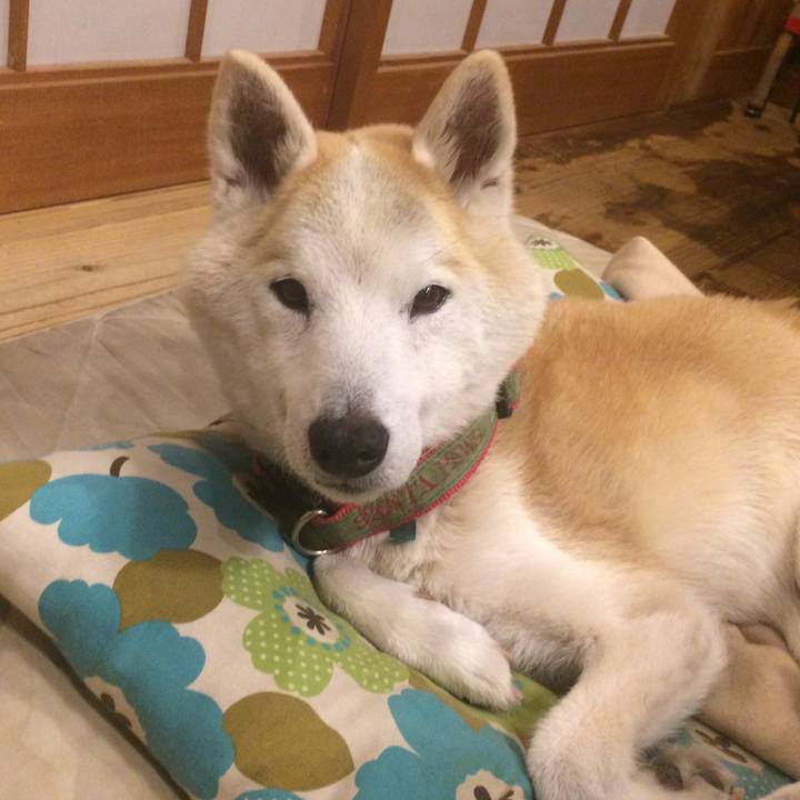 8a6ac438 fb06 439c ad23 6d7c4c732d7c 1584975260383