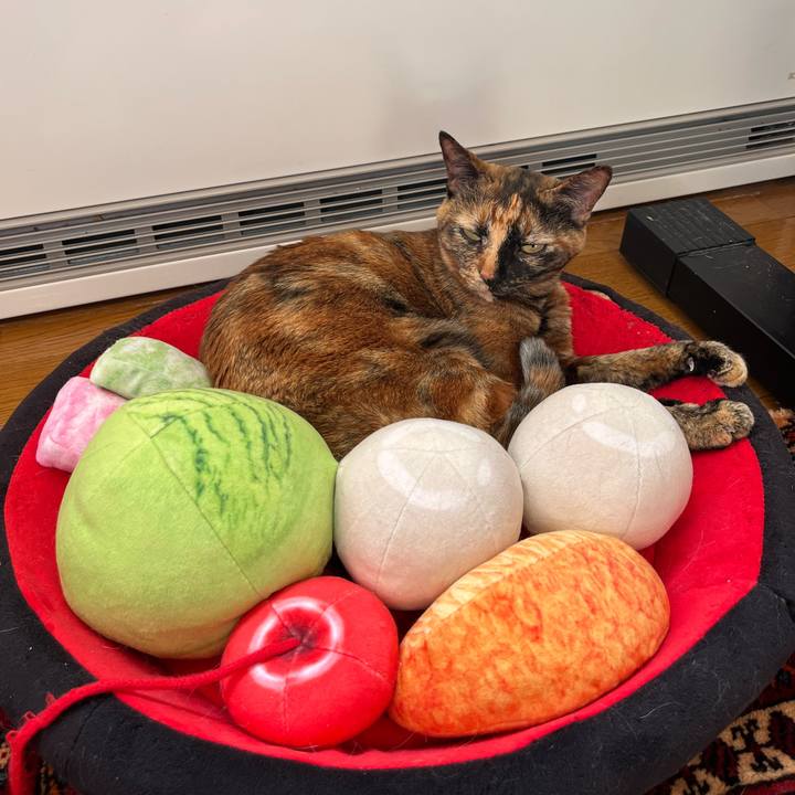 8a6ad129 3b20 47d1 a5b5 2dd67afe83e4 1763599300640