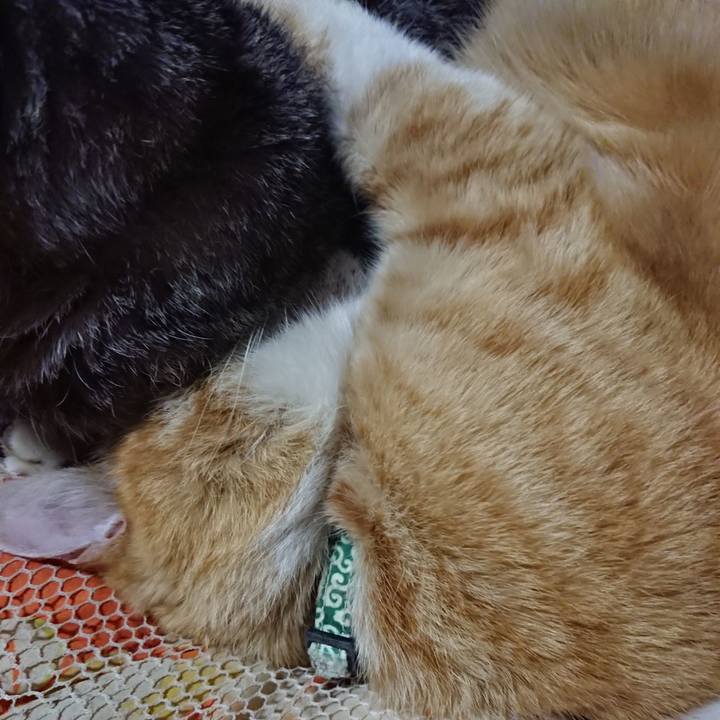 8a6adf13 aa3b 4687 903a 85947d0b93d6 1585224824933