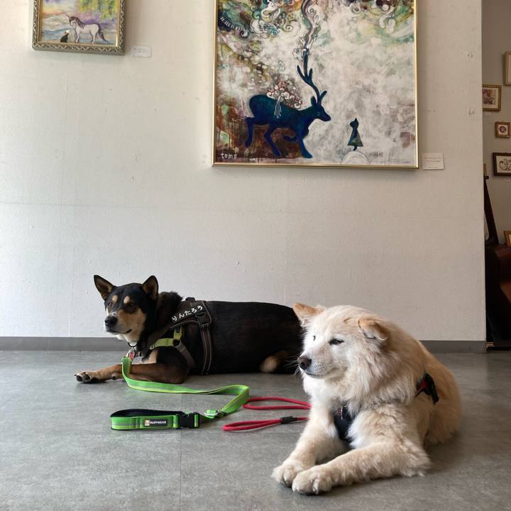 8a6aee96 73bc 4df6 9d23 f72e275b3150 1712760840906