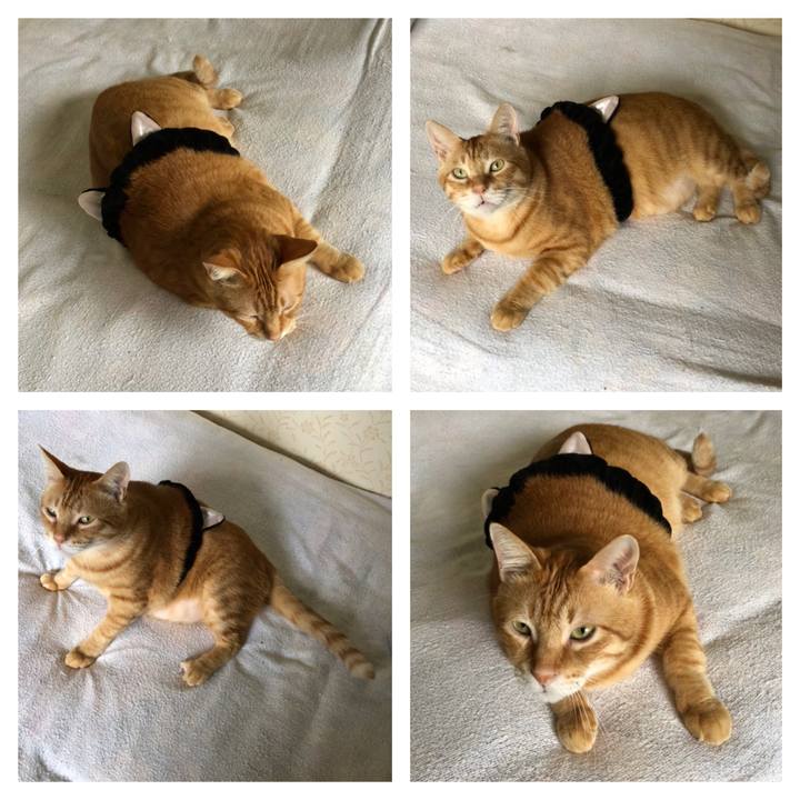 8a6afba5 74f7 4130 947e e30c5bb18633 1570253440075