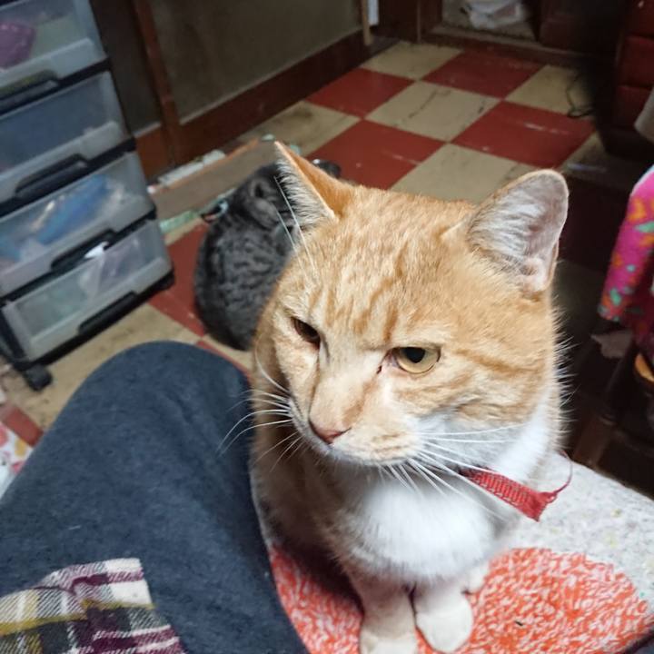 8a6b2432 2549 4775 b9d7 85b05a517f3d 1574970531682