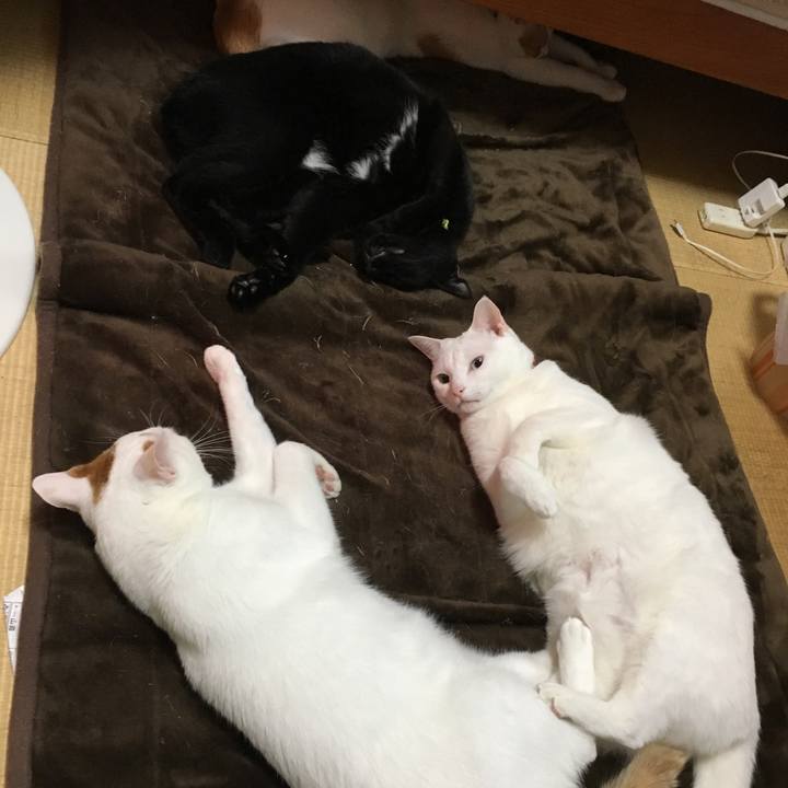 8a6b29c4 6740 46c4 9629 e5f902b26915 1519805871059