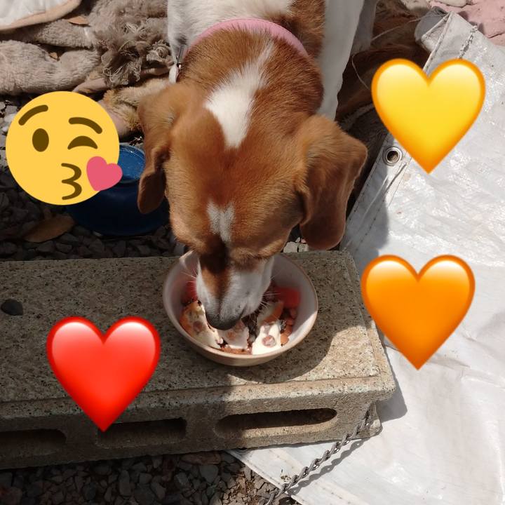 8a6b671f caf5 4aba 9e70 36a1be596b89 1586143934165