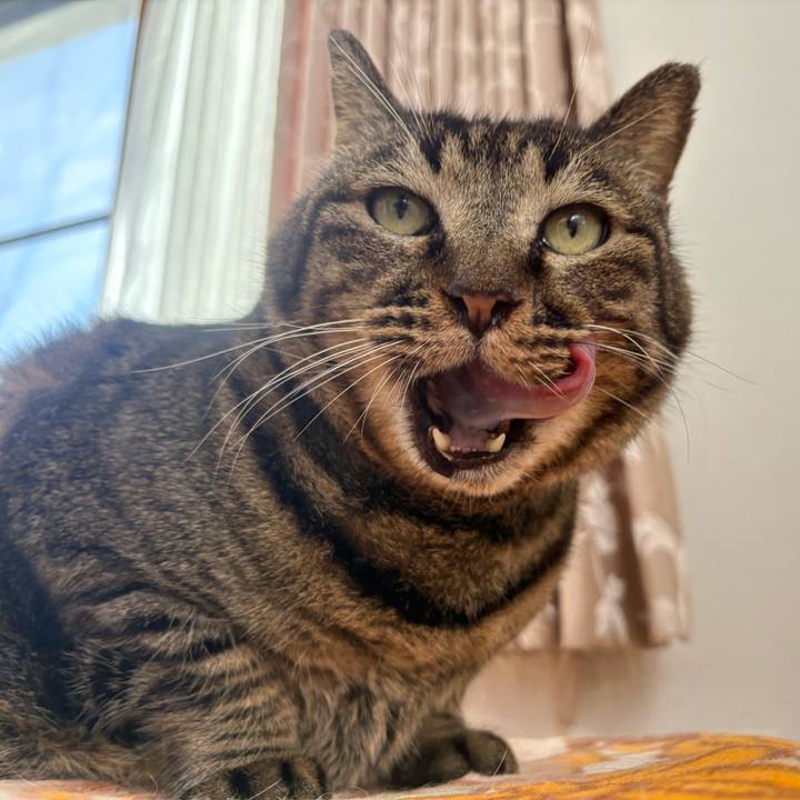 8a6b7417 0691 4714 906f b2a6da149c33 1769405589040