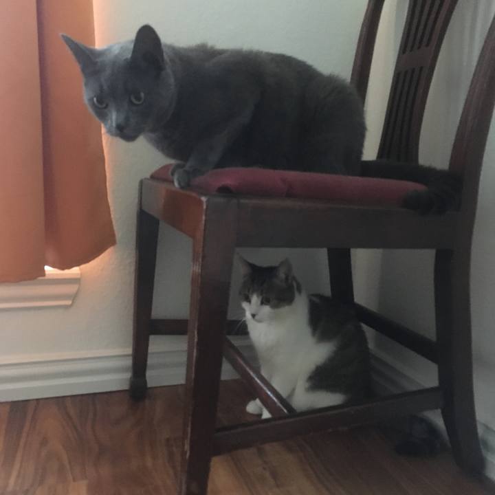 8a6b7459 8195 4a4f 9e81 9b1c473b948c 1656549271265