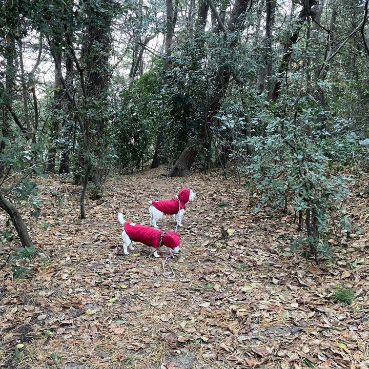 8a6bacea 087e 42d0 8cf3 a569e7be8799 1765674088720