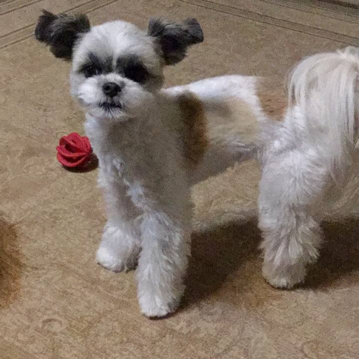 8a6bba24 5273 43d3 b46d 204c903bbdb8 1514460903814