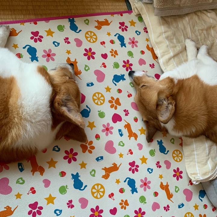 8a6bbbd2 2aaf 47ec 8d96 f52b9ff4c749 1653023345796