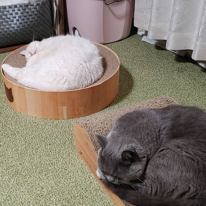 8a6c2108 54bc 4b5a 974c 067d37f56be2 1665312822730