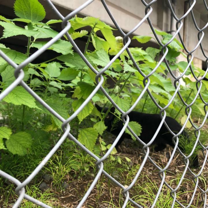 8a6c2430 171f 446c 8595 f3e4b0052a4e 1564045347865