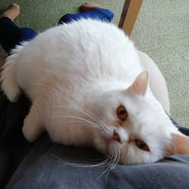 8a6c2690 5894 45ff b022 43d3d9be325f 1712366350094