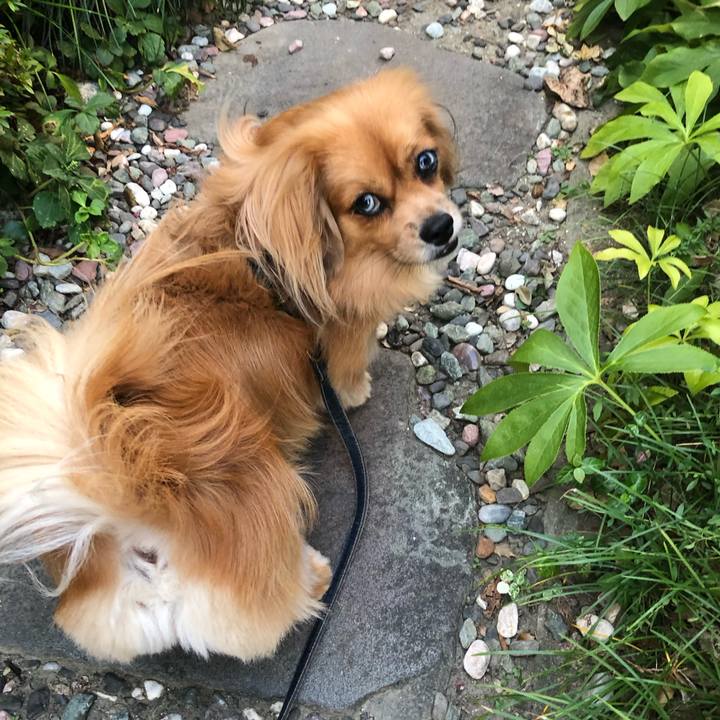 8a6c7f5e fcbe 4a47 aaf5 a24f52bbe876 1568930772180