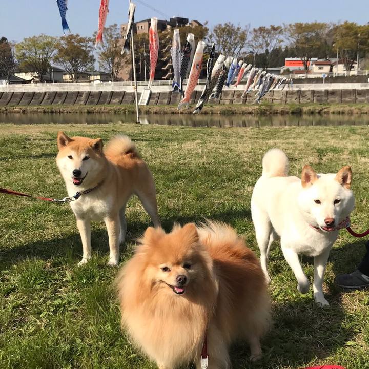 8a6c84ed 4305 4f48 a1d6 baa630cda1ce 1555935547129