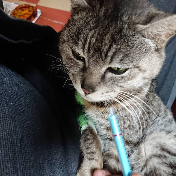 8a6c9a77 d86c 480b ae4c 0d4dfb17e5f7 1587420001644