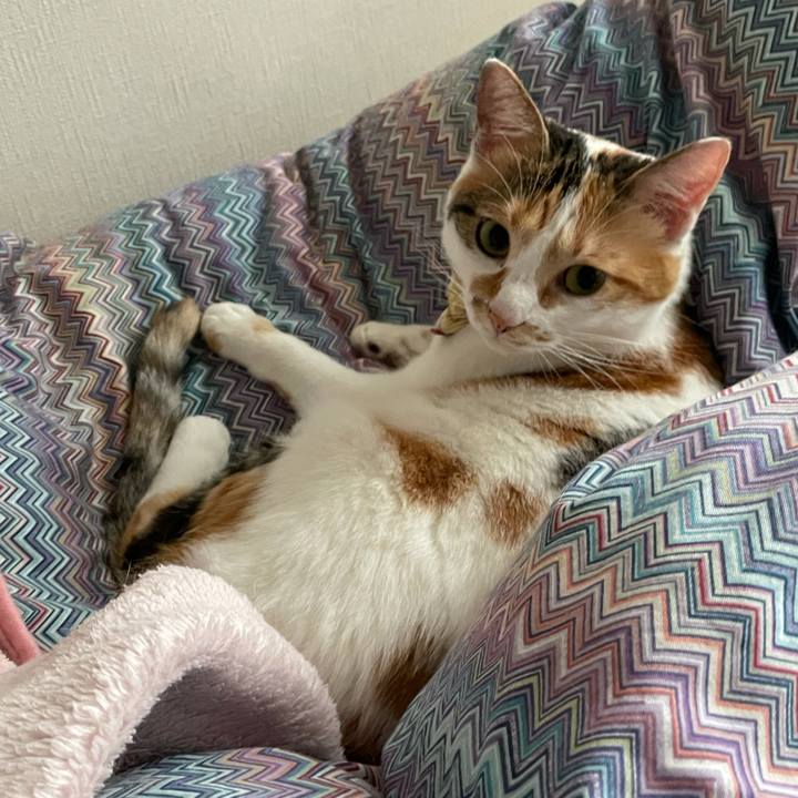 8a6cbe70 338a 46bc 9f64 64cdb6597b89 1634255387693