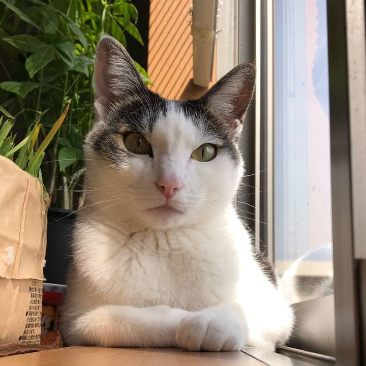 8a6cd882 1d6e 4812 9639 be3df30f50d7 1763037356550