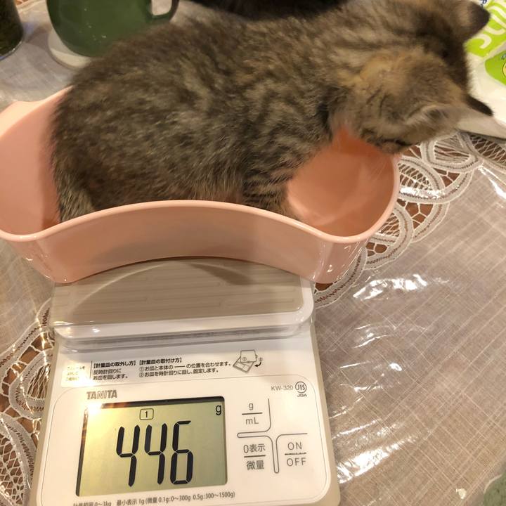 8a6cfcec cbd2 4238 bd48 3cbe4133d4d9 1539609434699