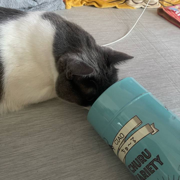 8a6d5f44 5af9 4c6f 8d90 b1dea10e8b59 1753685415434