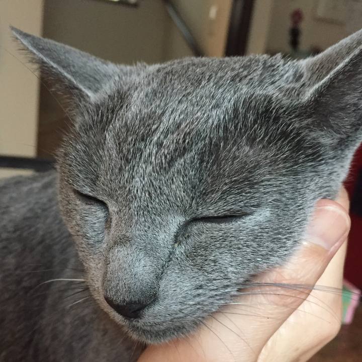 8a6dbe96 daa3 467a 896c 5efcf88ac484 1558999508346