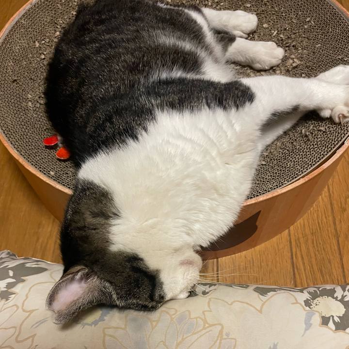 8a6de4df ffa2 488a acd1 9553aaba40cc 1722331528624