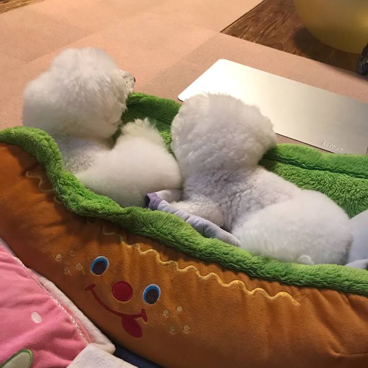 8a6dfa5e 4bd5 4813 804b 086f81e523fa 1602212131477