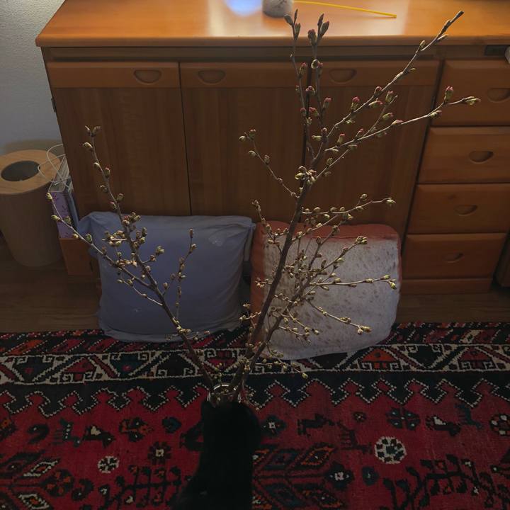 8a6e0fad 61e4 4450 a897 08914c4b452e 1613431387353