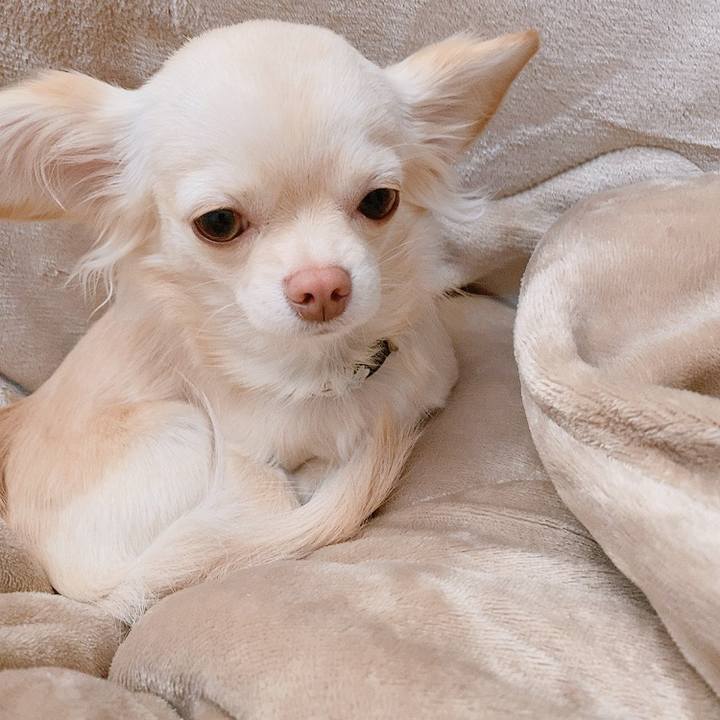 8a6e18f0 bfbe 44c3 bc94 f79357820d35 1610189659443