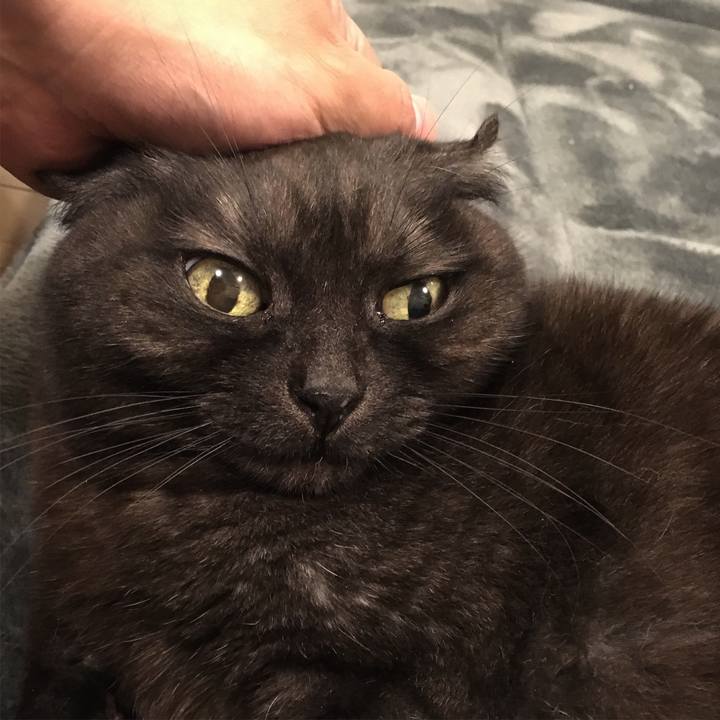 8a6e31c2 0507 43f5 bdd1 e2c578ef5902 1549287178611