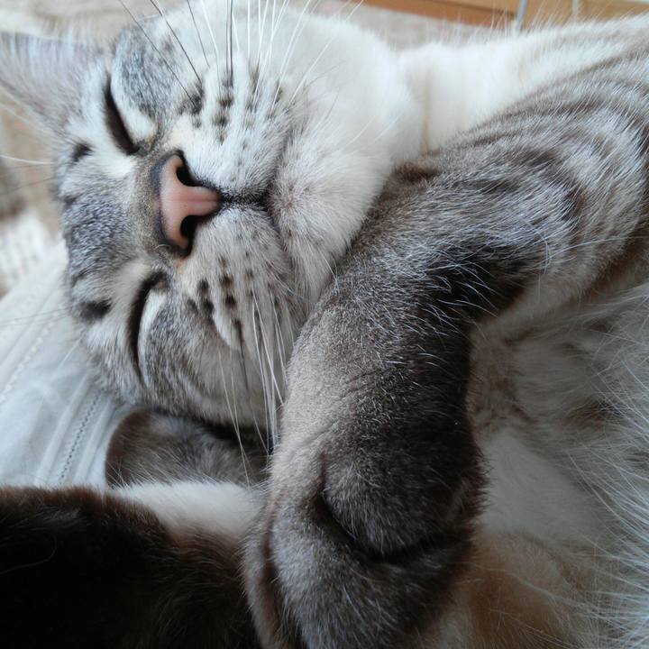 8a6e3628 7304 4d90 b30b e6d9c499fb02 1523241122809