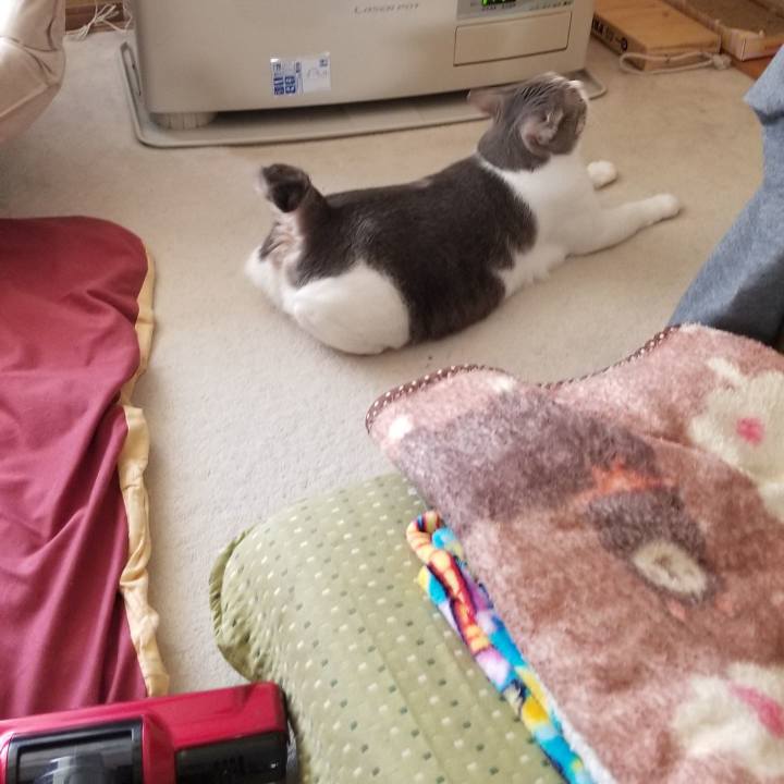 8a6e421f f113 47c9 90c2 0907a1496b96 1554965171075