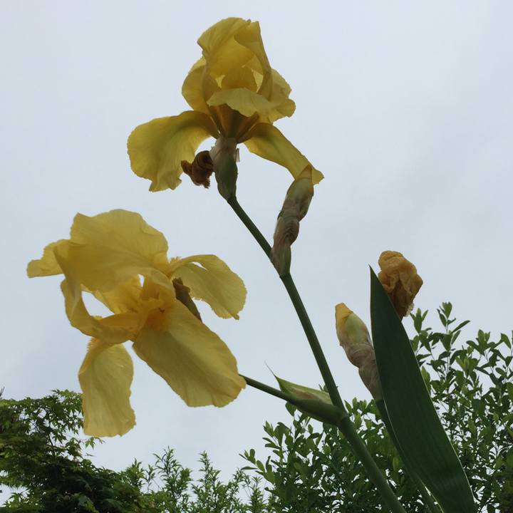 8a6e4a17 088d 41cc 993e a1a939f8c5ce 1526170875366