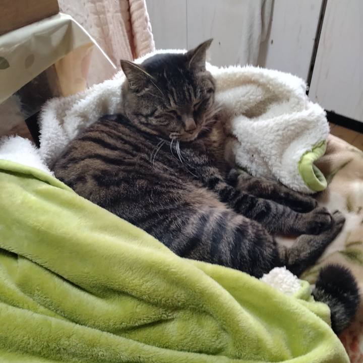 8a6e4f72 09a2 4f3c 9996 dd99a8520c5c 1674861323323