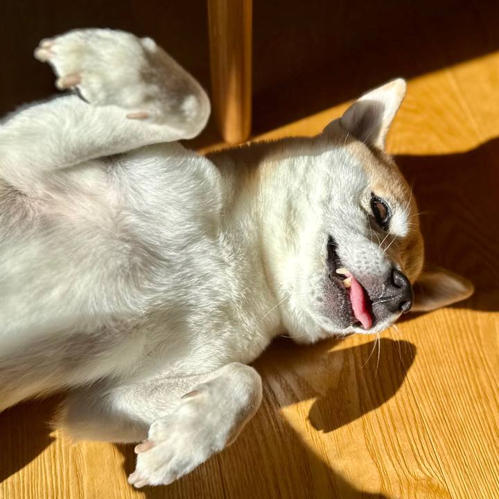 8a6e59ba 87b6 4e2c 85ac bc9f95aebbcd 1763955390608