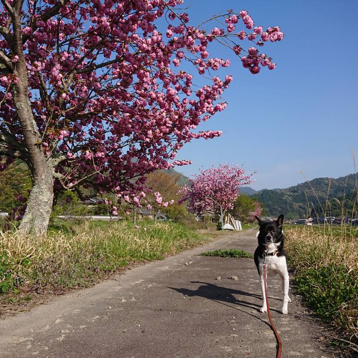 8a6ed8a3 96f9 4b7c be85 2282268a0070 1618961384586