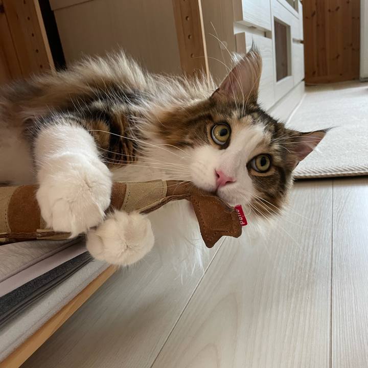 8a6f036b bb71 4d42 80e0 fddc29709a45 1656280693324