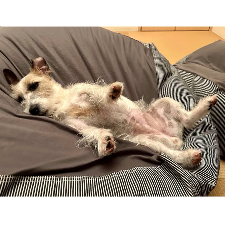 8a6f4e29 84d2 44a5 833a a63e3640d97f 1710601172092