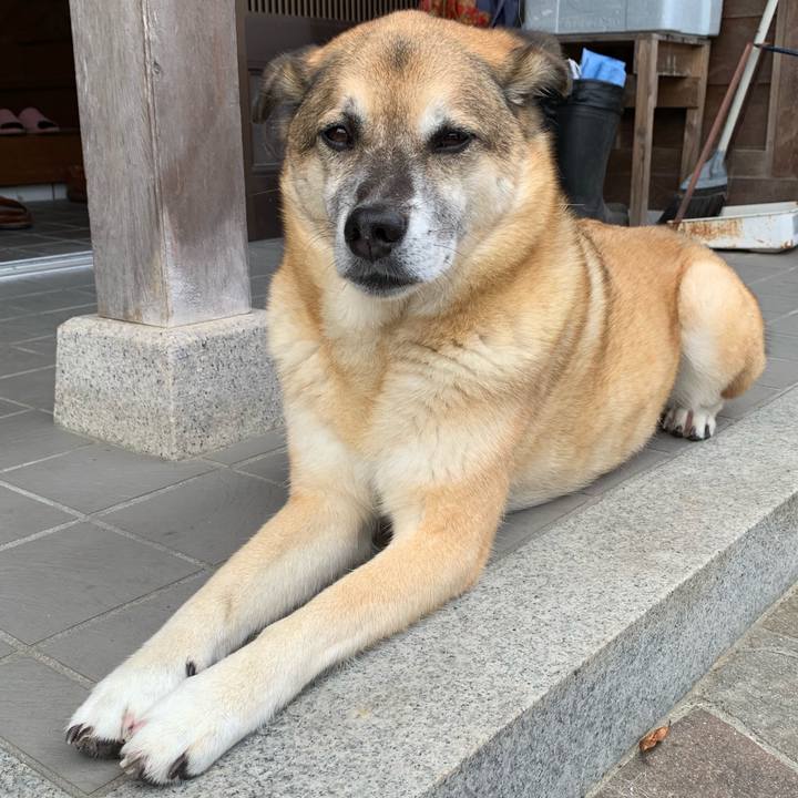 8a6f5165 547c 44c7 80c0 fe459f746ce7 1565581032819