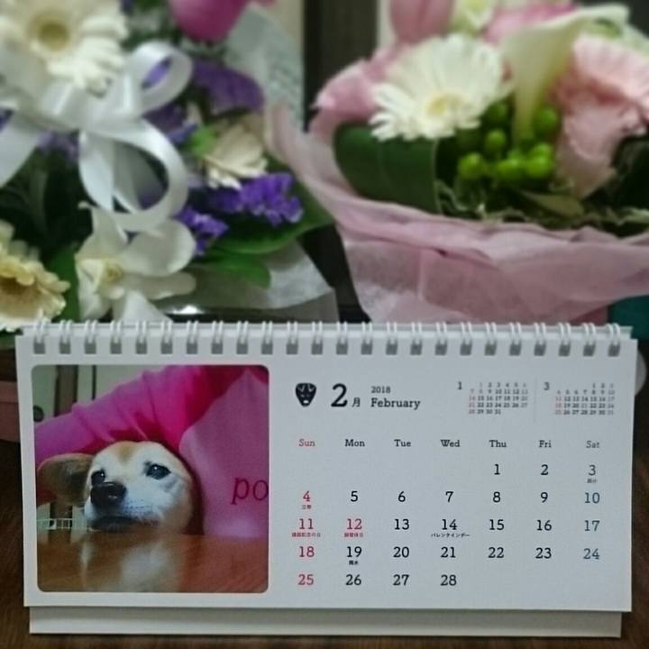 8a6fbd27 e459 48a7 acd3 d6a59c27b6dd 1518447717076